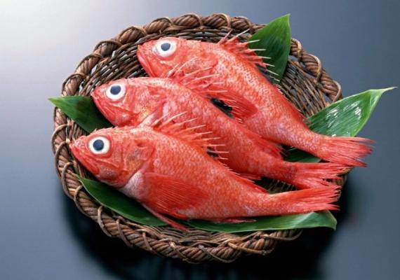 Окунь морской красный рецепты приготовления Как сварить рыбу окунь морской